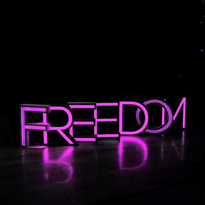 freedom neon pink sign