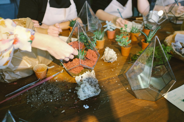 group of people potting plants and succulents