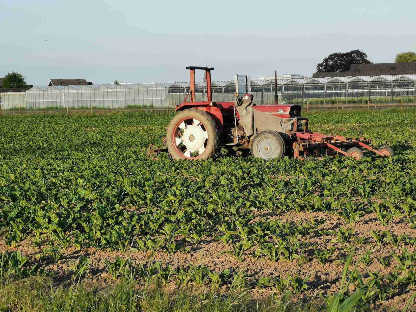 Cleaning Tractor Tires: What You Need to Know?