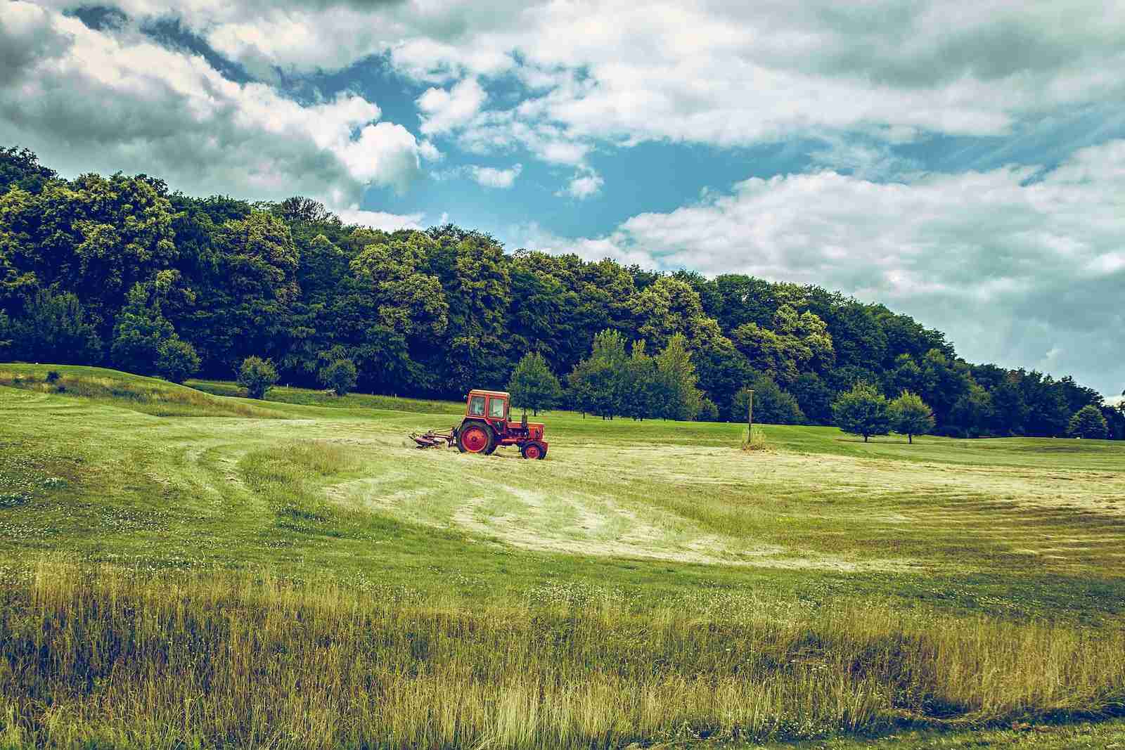 What Makes the Massey Ferguson 135 a Classic Tractor? What Makes the Massey Ferguson 135 a Classic Tractor?
