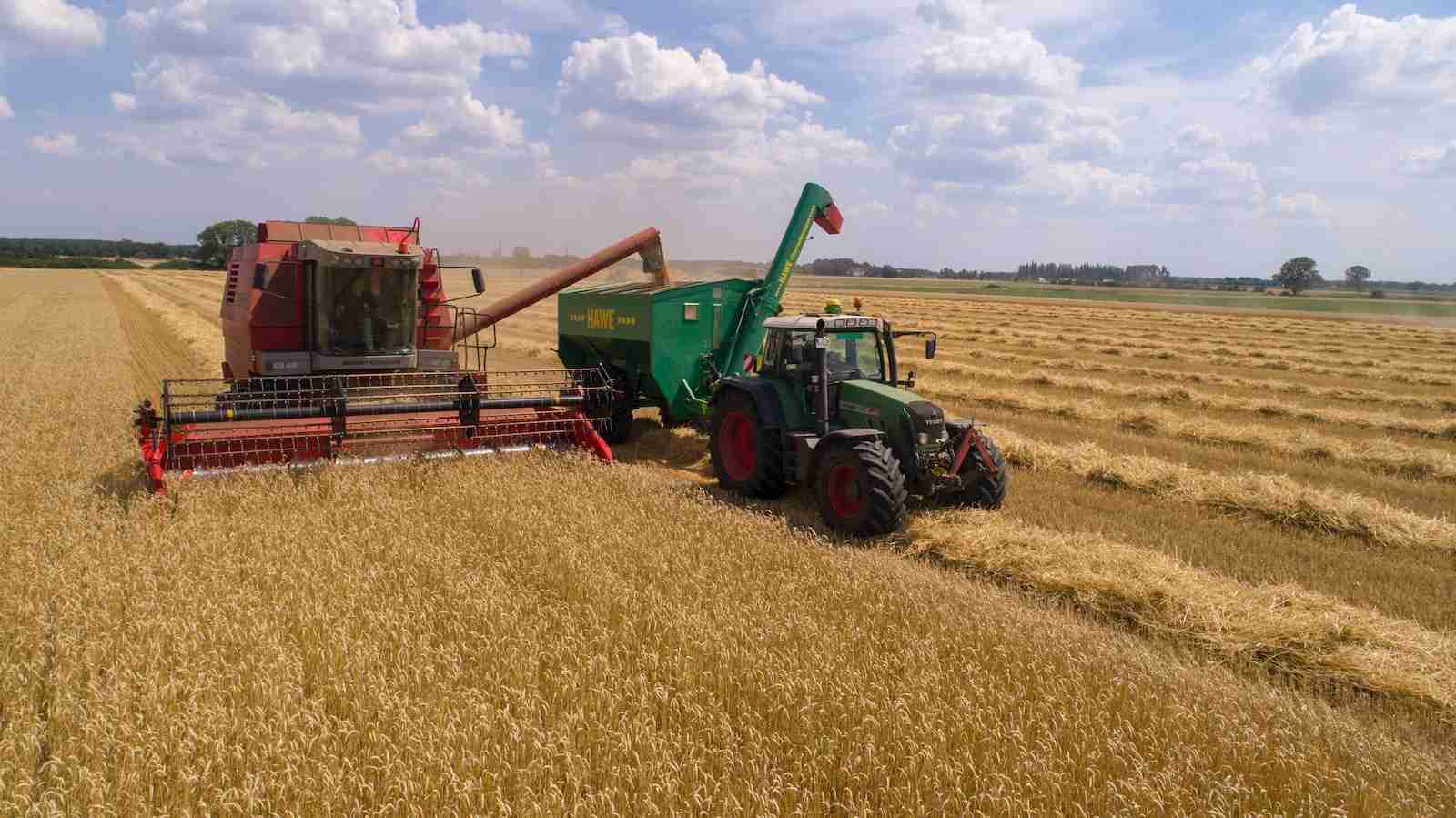 How Much Can You Make From 1930s Tractors? How Much Can You Make From 1930s Tractors?
