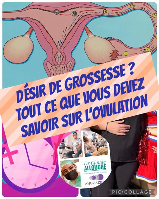 DÉSIR DE GROSSESSE ?TOUT CE QUE VOUS DEVEZ SAVOIR SUR L’OVULATION