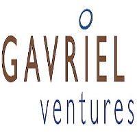 Gavriel Ventures logo