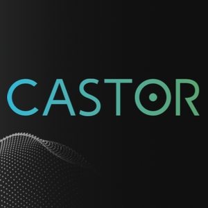 CASTOR logo