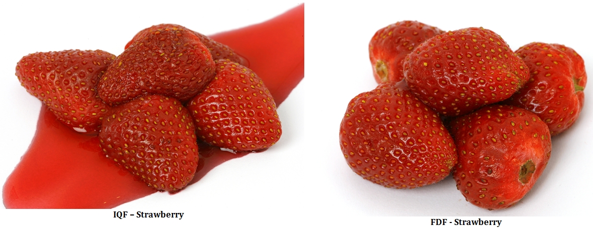 IQF vs FDF - Strawberry logo