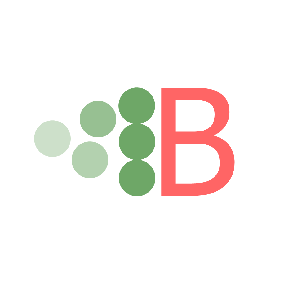 Brightmerge logo