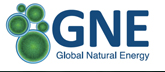 GNE Global Natural Energy logo