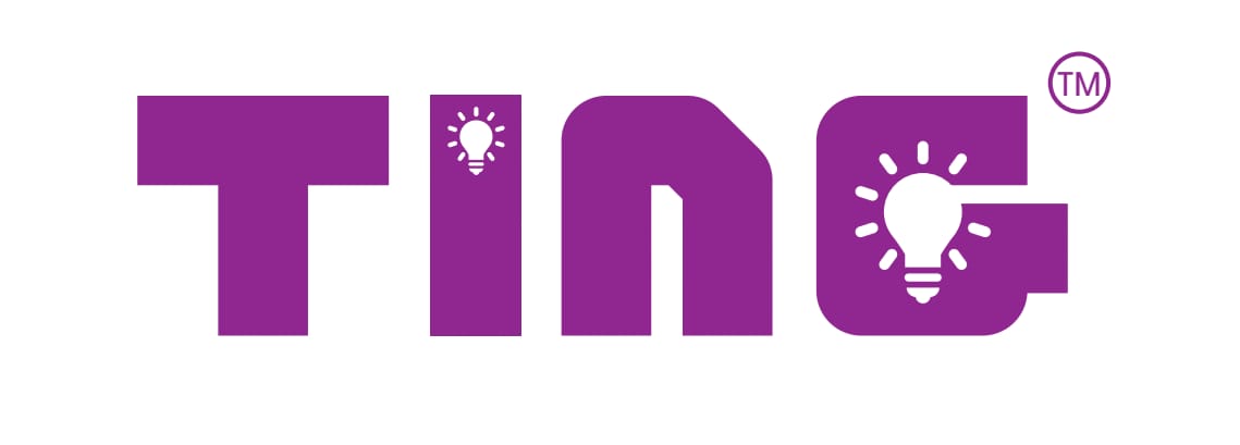 TING.Global logo
