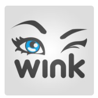 Wink logo