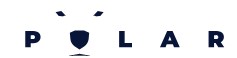 Polar Security logo