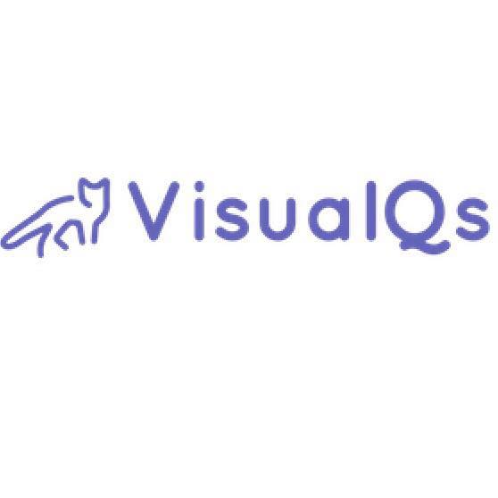 VisualQs logo