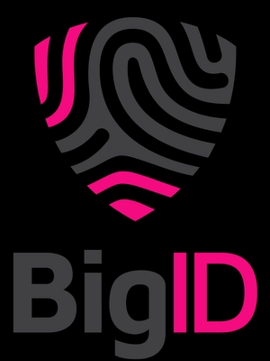 BigID logo