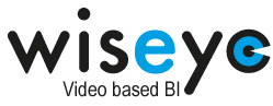 Wiseye Video Systems logo