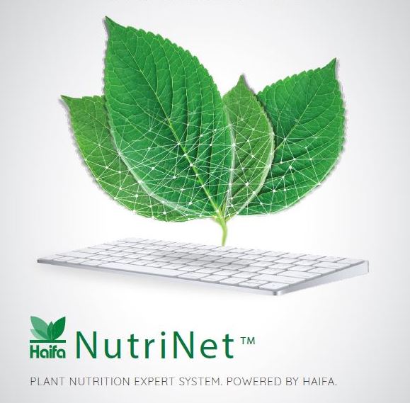 Haifa NutriNet - Plant Nutrition Expert system logo