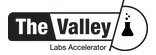 The Valley Labs logo