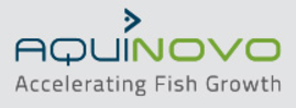 AquiNovo logo