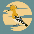 Hoopoe.one logo