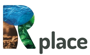 Rplace logo