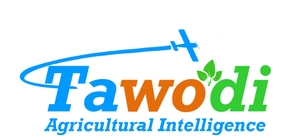 Tawodi logo