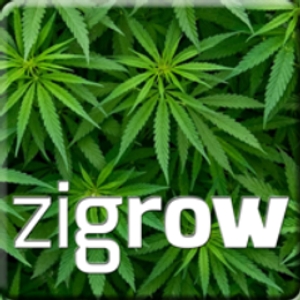 Zigrow logo