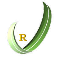 RAMZORDiagnostic logo