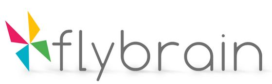 FlyBrain logo