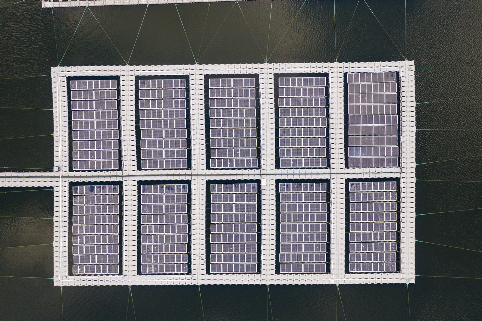 Grid-connected FPV project with Apollo Solar Roll PV modules logo