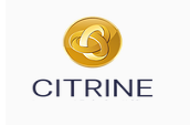 Citrine S A L logo