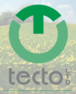 Tecto logo