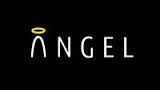 Angel Sensor logo