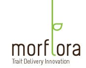 Morflora logo