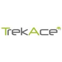 TrekAce Technologies Ltd. logo
