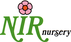 Nir Nursery logo