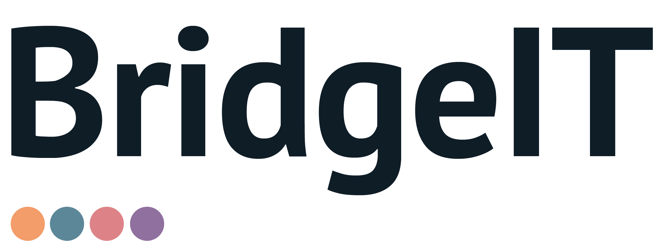 BridgeIT logo