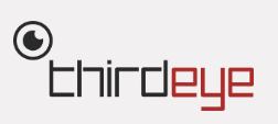 ThirdEye Systems logo