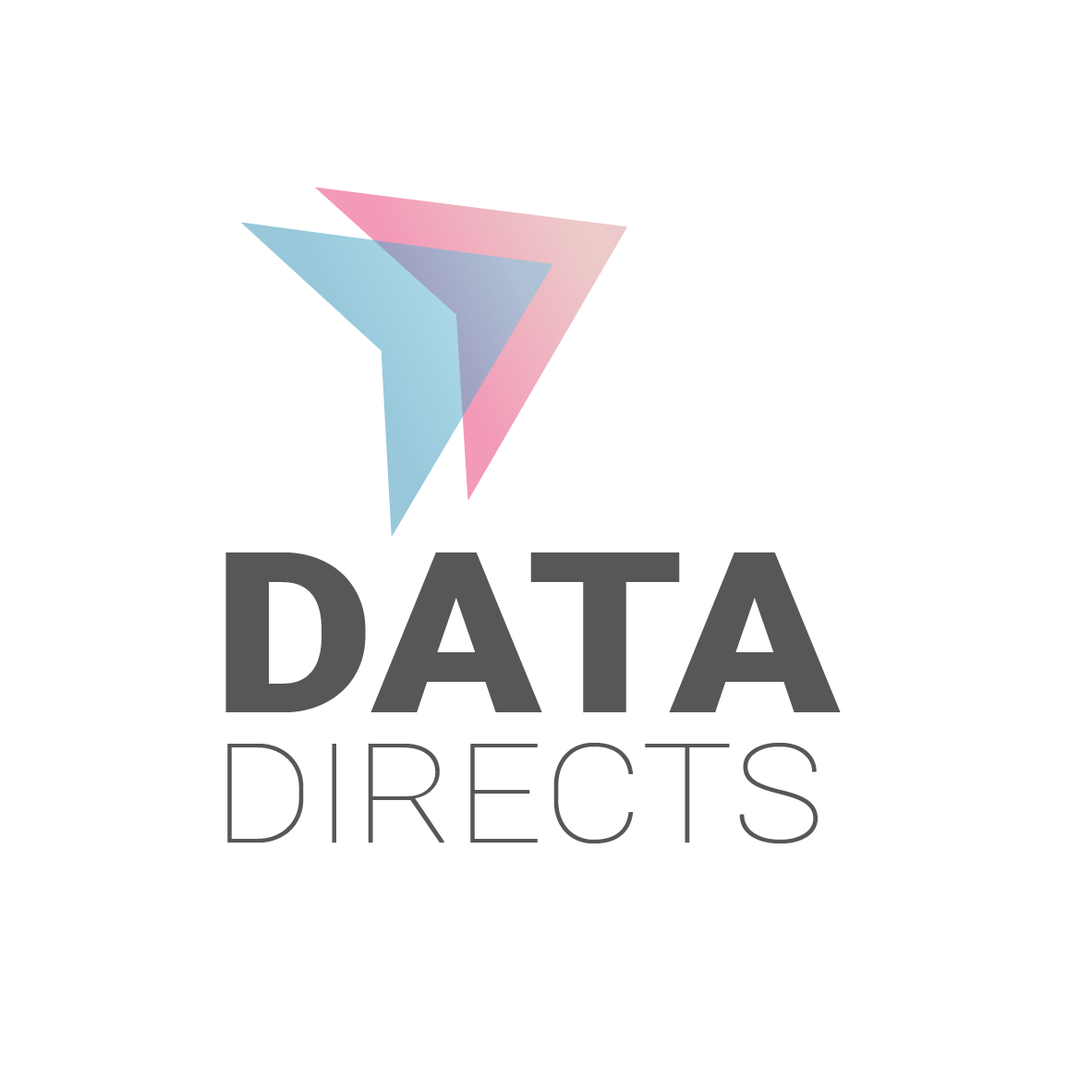 Data Directs logo