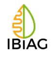 IBI-Ag logo