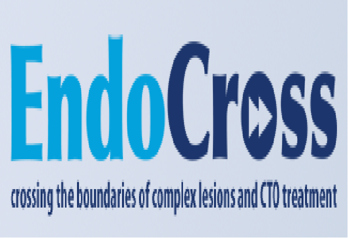 EndoCross logo
