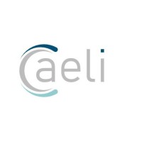 Caeli  Technologies logo