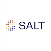 Salt Security logo