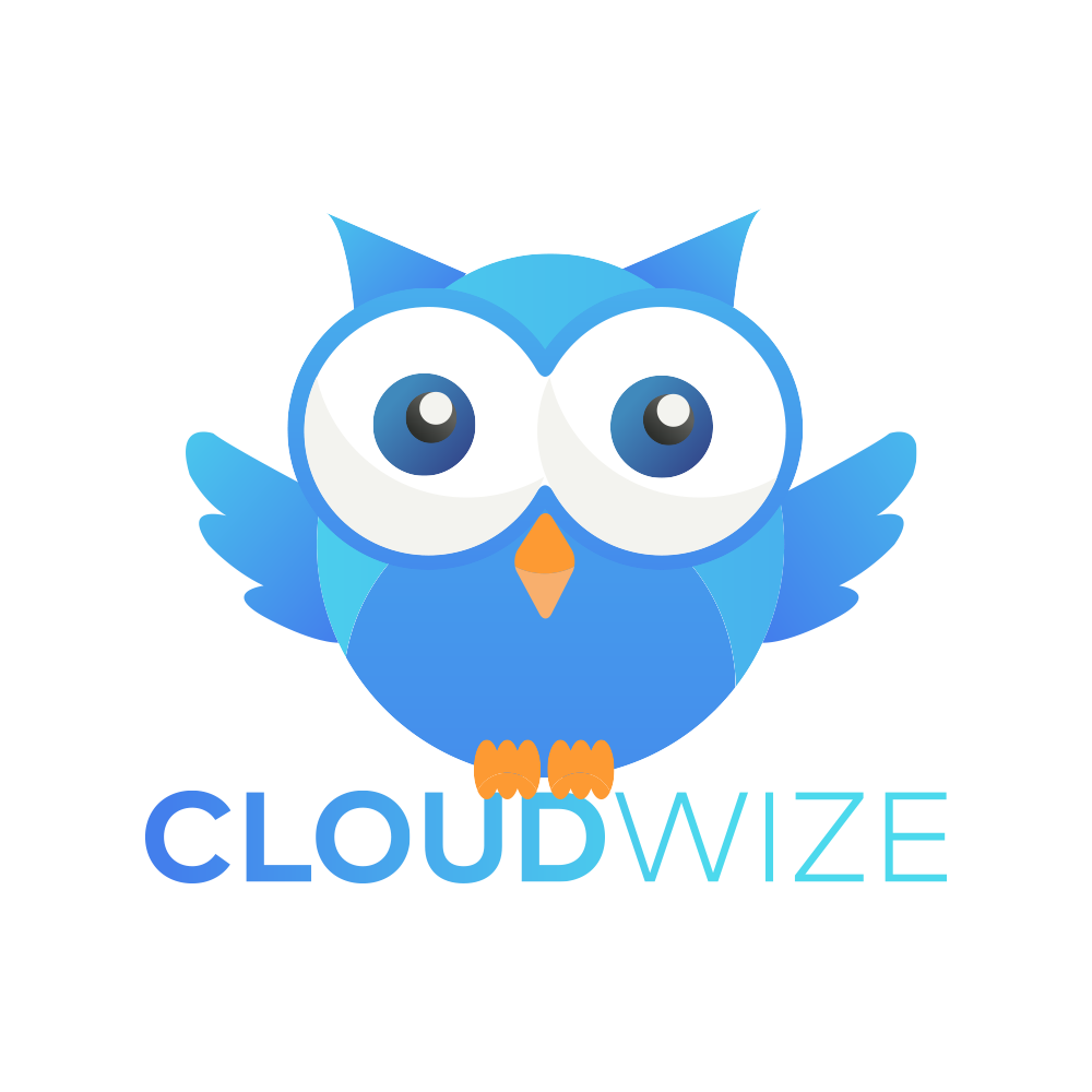 CloudWize logo