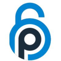 Preempt Security logo