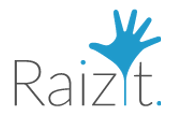 Raizit logo