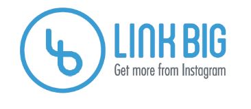 Link Big logo