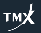 TSXV logo