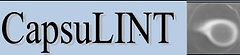 CapsuLINT logo