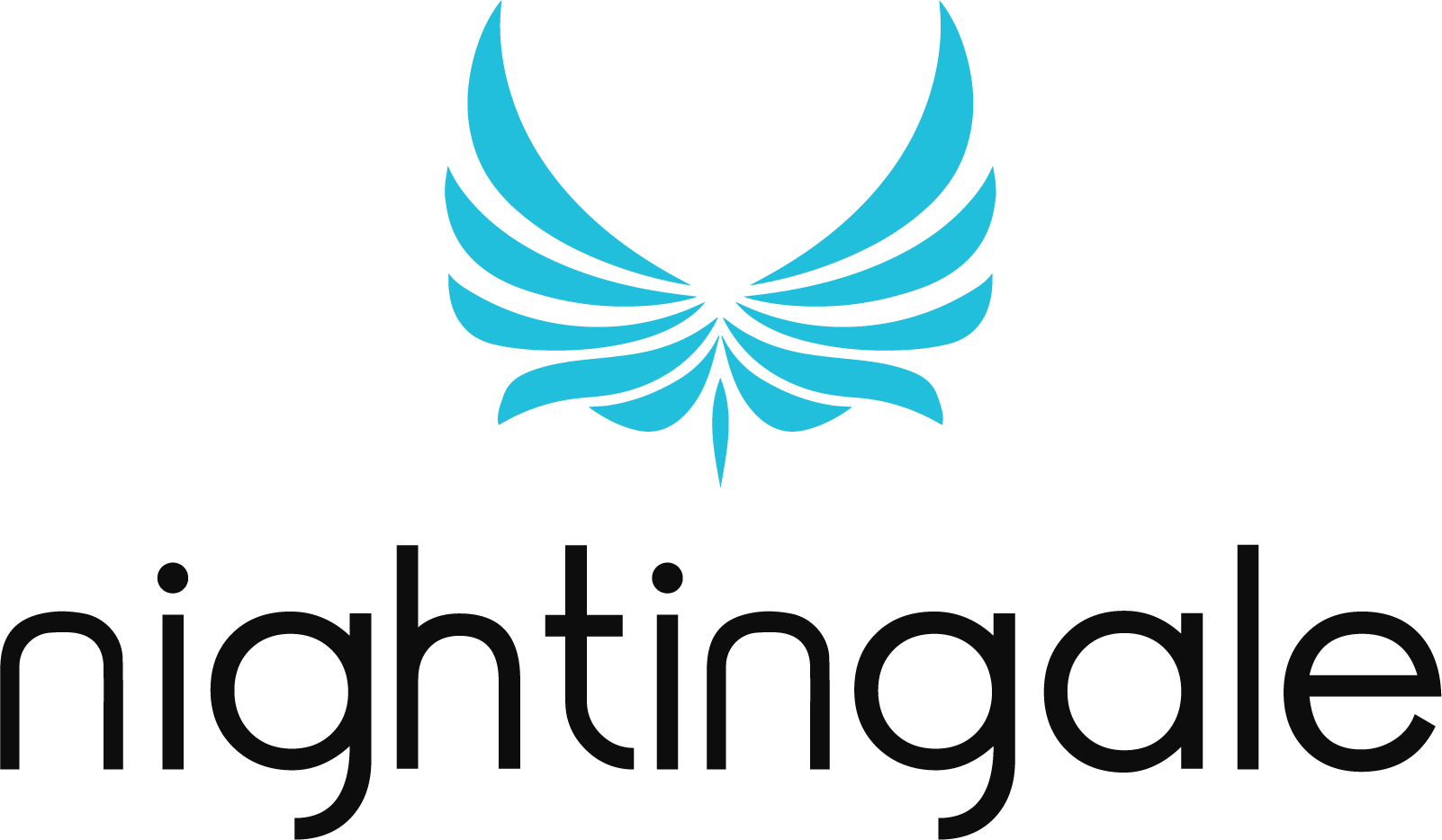 Nightingale Cyber logo