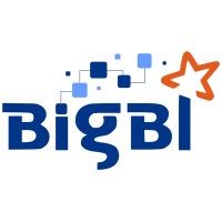 BigBI Software logo