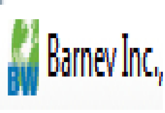Barnev logo
