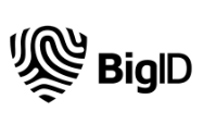 BigID logo